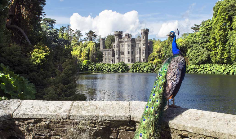Breathwork Johnstown Castle