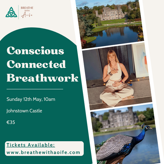 Breathwork Johnstown Castle, Wexford 12th May